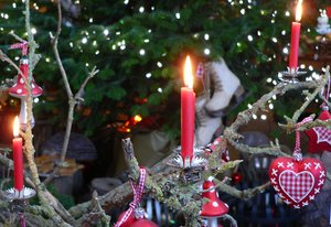 Der Weihnachtsbaum ist das verbreitetste Weihnachtssymbol überhaupt und gehört für die meisten von uns zum Weihnachtsfest. 