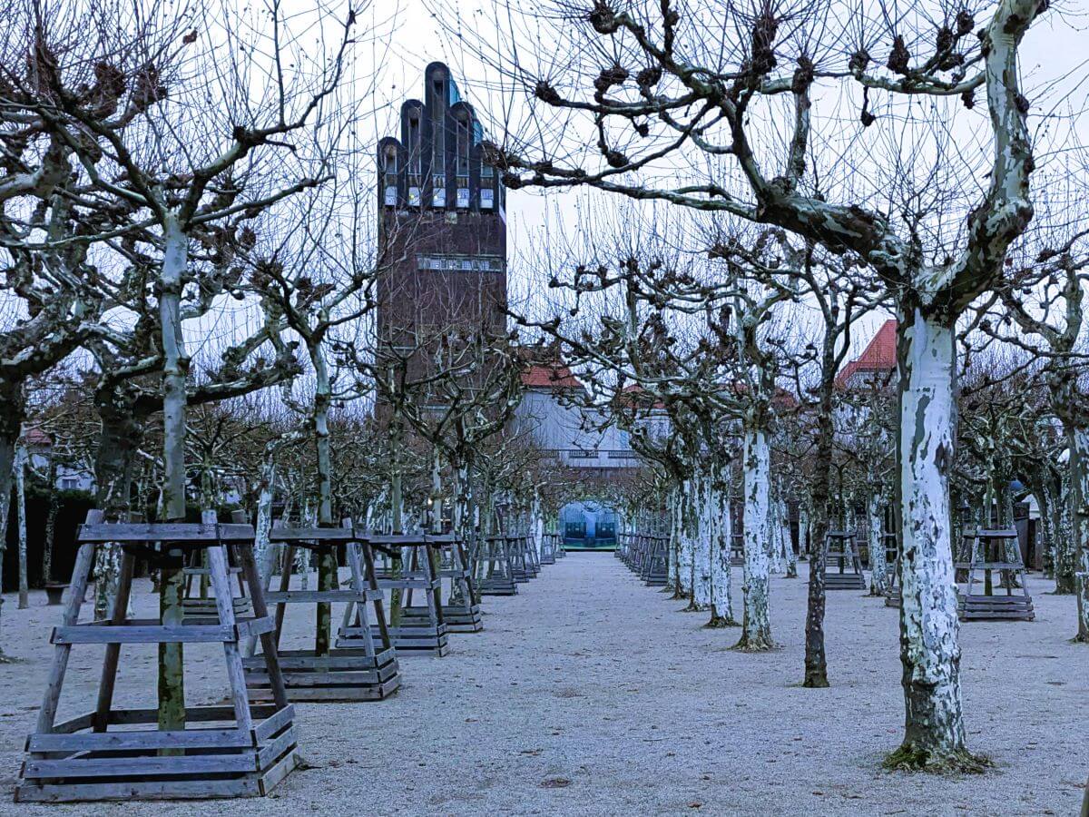 Der Platanenhain auf der Mathildenhöhe, ein idyllischer Ort mit kunstvoll angelegten Wegen und monumentalen Platanen.