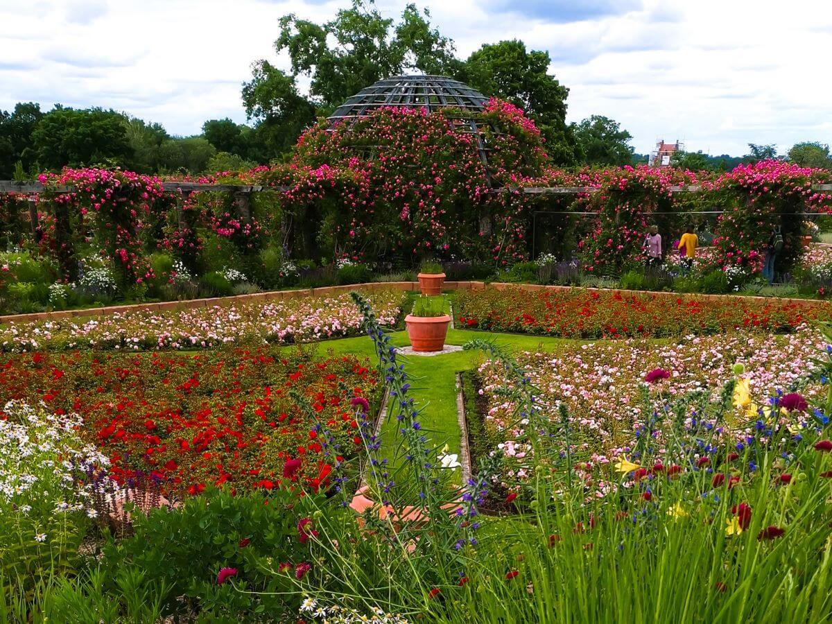 Blühendes Rosarium auf der Rosenhöhe mit Rosenbüschen und dem ikonischen Rosendom.