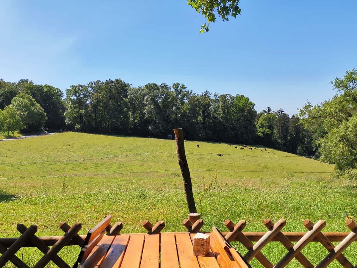Aussicht von der Terrasse des Bierhelderhofs auf Wiesen und Wälder