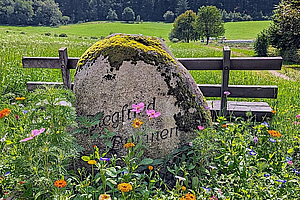 Waldluft schnuppern, Natur genießen und Neues kennenlernen. Unser Tipp für eine abwechslungsreiche Kurzwanderung im Odenwald. 