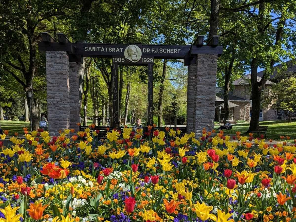 Tulpen im Kurpark Bad Orb vor einem Denkmal