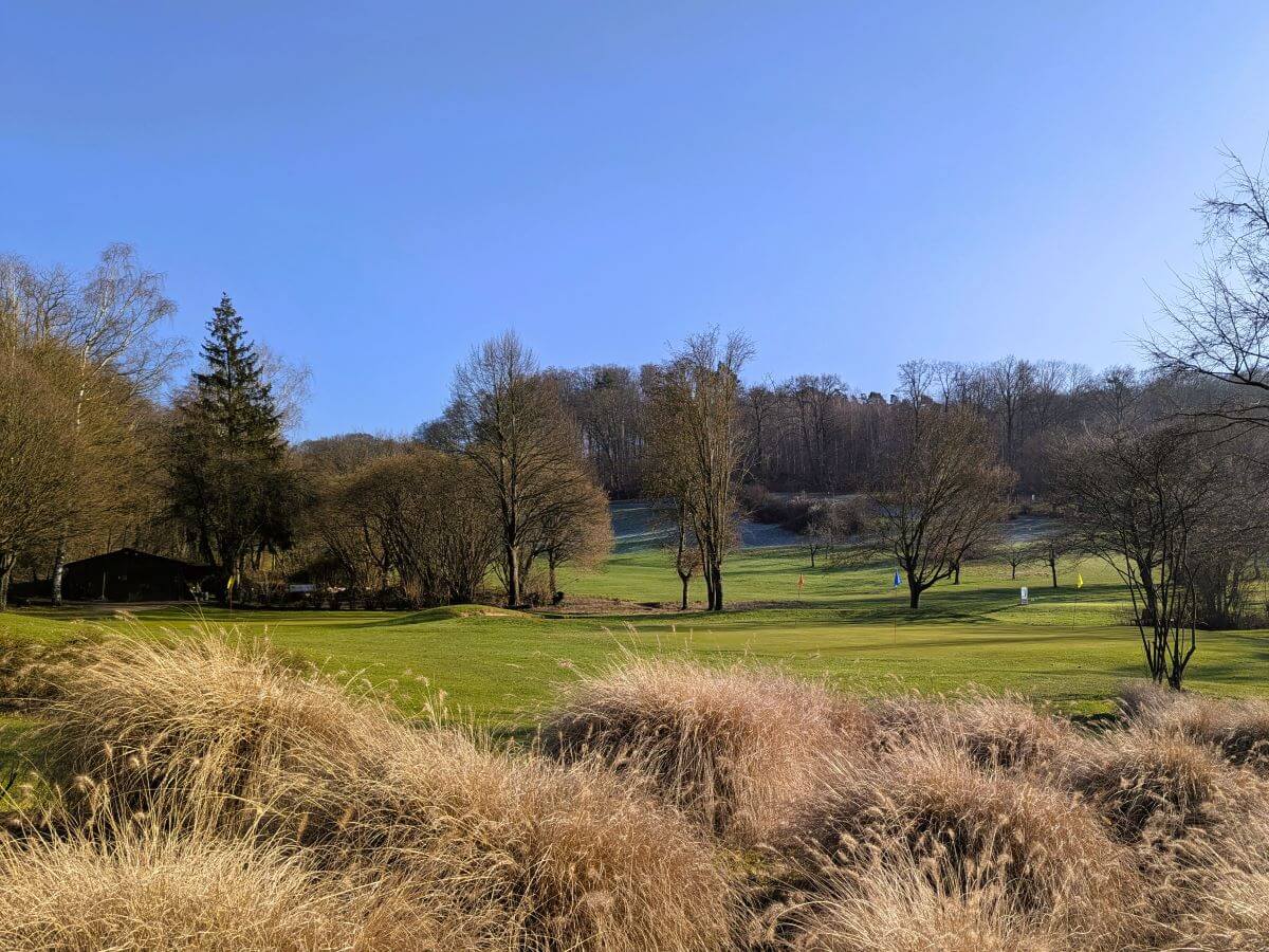 "Weitläufiger Golfplatz in Traisa – umgeben von grünen Wiesen und altem Baumbestand.