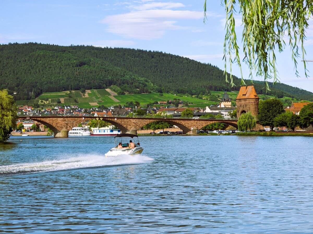 Blick auf die Mainbrücke und die Weinberge bei Miltenberg