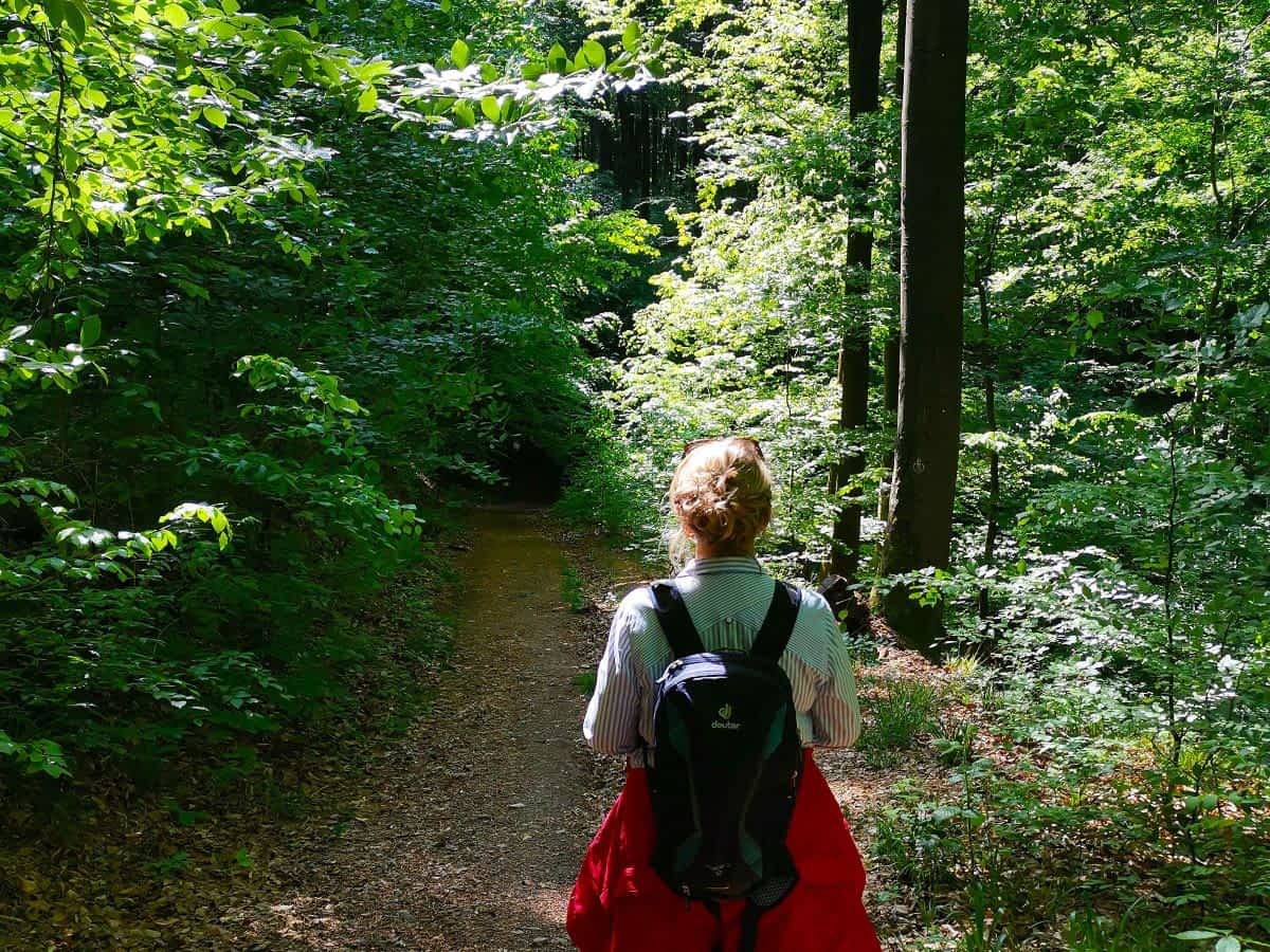 Unterwegs auf einem schattigen Waldweg bei der Rundwanderung um Birkenau
