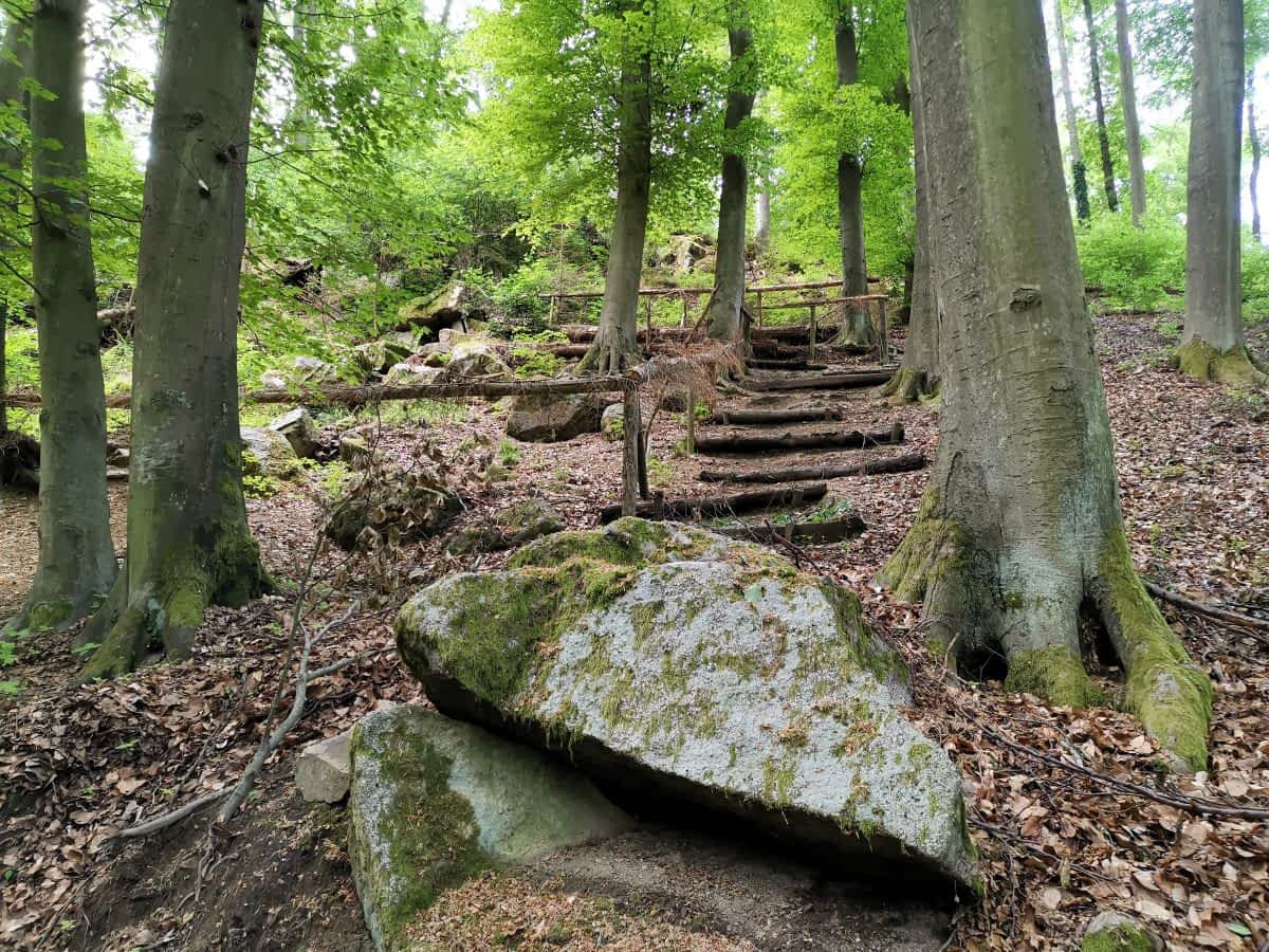 Waldtreppe auf dem Wanderweg zur Hohen Harth bei Birkenau