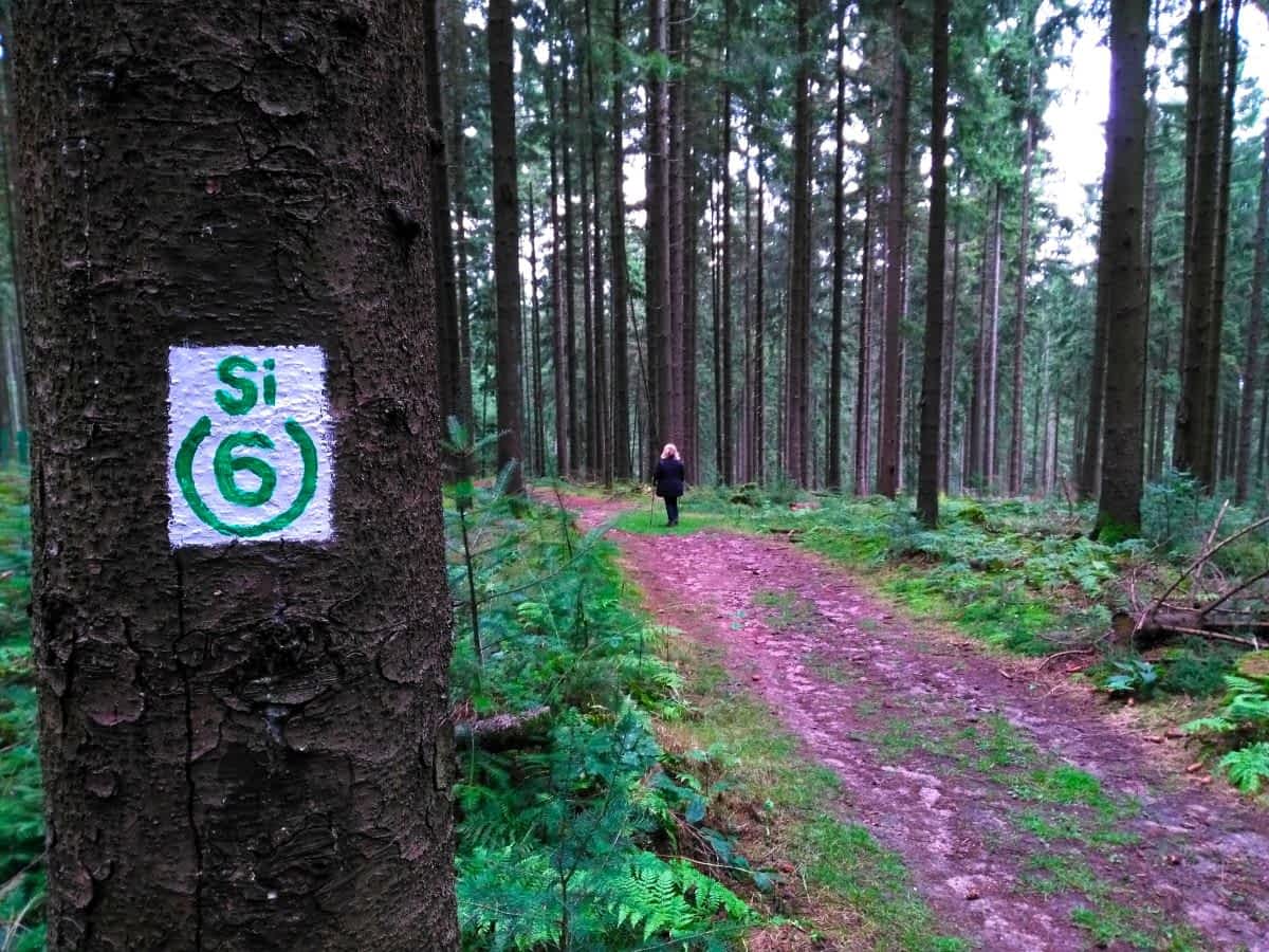 Auf dem S6 durch den Odenwald bei Siedelsbrunn Auf dem S6 durch den Odenwald bei Siedelsbrunn