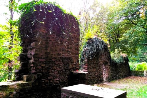 Dieser abwechslungsreiche Rundwanderweg führt uns vom Luftkurort Siedelsbrunn auf romantischen Pfaden durchs Naturschutzgebiet Eiterbachtal. Vorbei an der sagenumwobenen Kapellenruine Lichtenklinger Hof und den heilenden Quellen hinauf zum Hardberg.