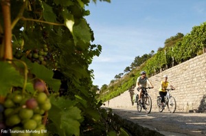 [title] - Wein soweit das Auge reicht. Der Württemberger Weinradweg führt 354 km durch Deutschlands viertgrößtes Weinbaugebiet und ist ein Paradies zum Radeln, Genießen und Erleben.