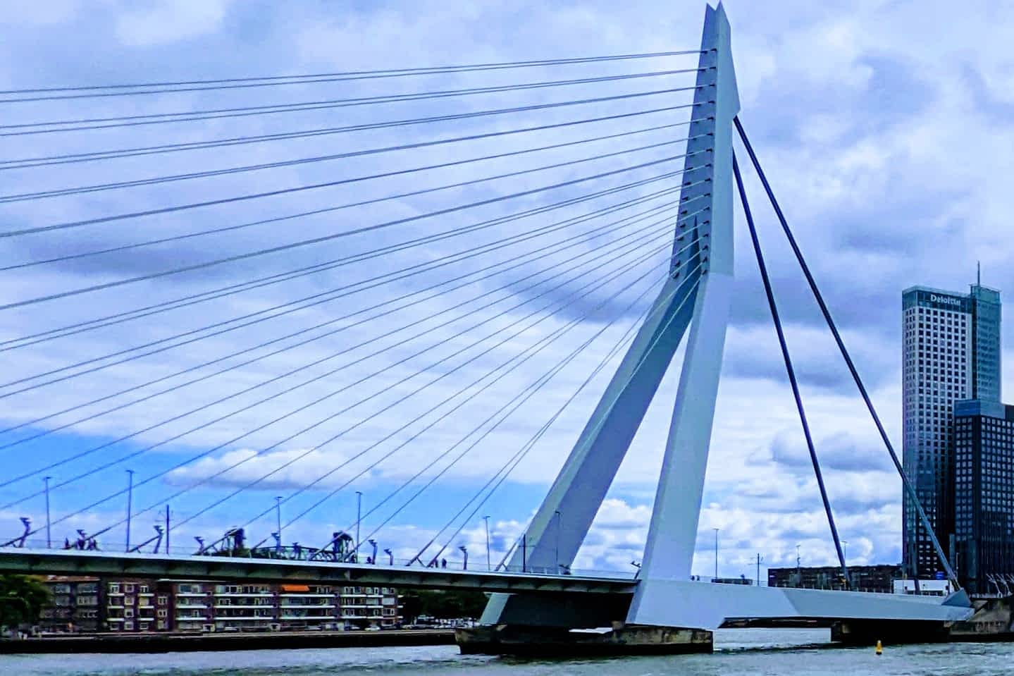 Die weiße Schrägseilbrücke Erasmusbrug, genannt der Schwan, über die Maas in der Skyline von Rotterdam.