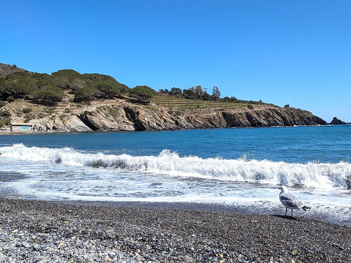 Die Weinstrasse a.d.Costa Brava hinter der französischen Grenze