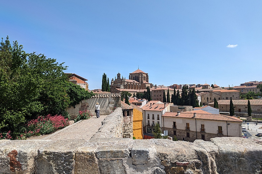 Blick von Huerto de Calixto y Melibea auf Salamanca und die Kathedrale 