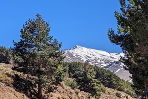 [title] - Eine abwechslungsreiche Tagestour durch die herrliche Sierra Nevada und zu Andalusiens weißen Dörfern der Alpujarra. . 