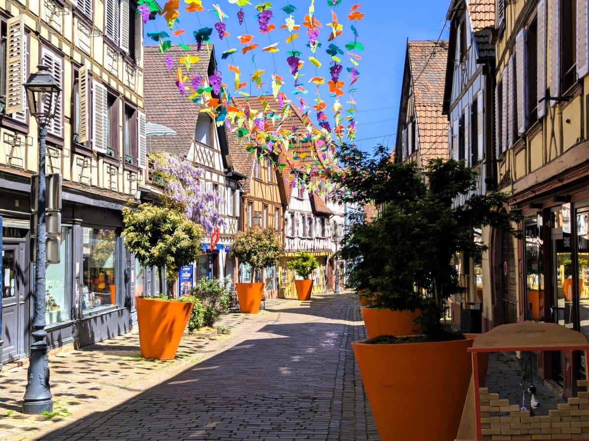 Eine malerische Gasse in Barr an der Elsässer Weinstraße mit bunten Papier-Weintrauben-Girlanden über dem Kopfsteinpflaster und großen orangen Pflanzkübeln.
