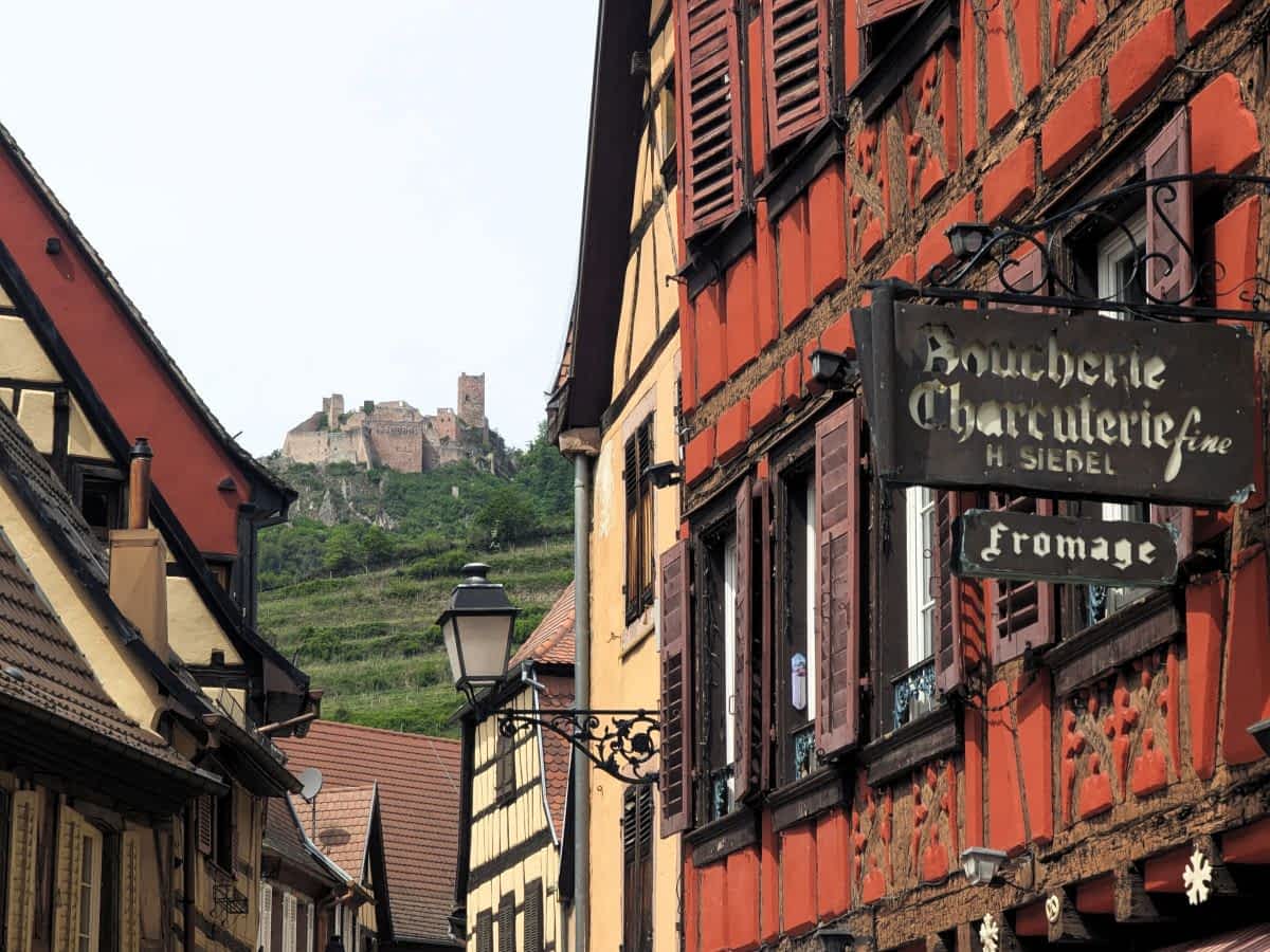 Blick durch eine schmale Gasse in Ribeauvillé auf ein rotes Fachwerkhaus mit Metzgerei-Schild, im Hintergrund eine Burgruine auf einem bewaldeten Berg.