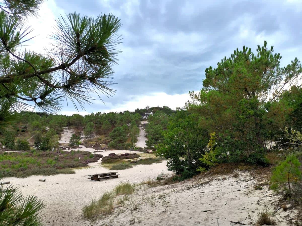 Weite Dünenlandschaft in Nordholland