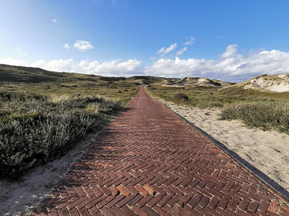 Radweg in den Dünen von Schoorl