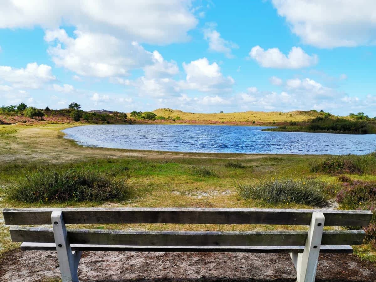 Ein friedlicher Ruhepunkt am Dünensee