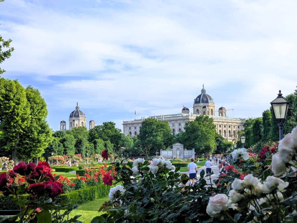 Volksgarten Wien mit Rosenbeeten in der Abendstimmung