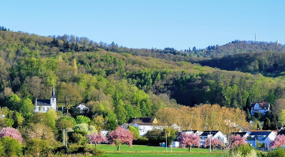 Blick auf Seeheim-Jugenheim